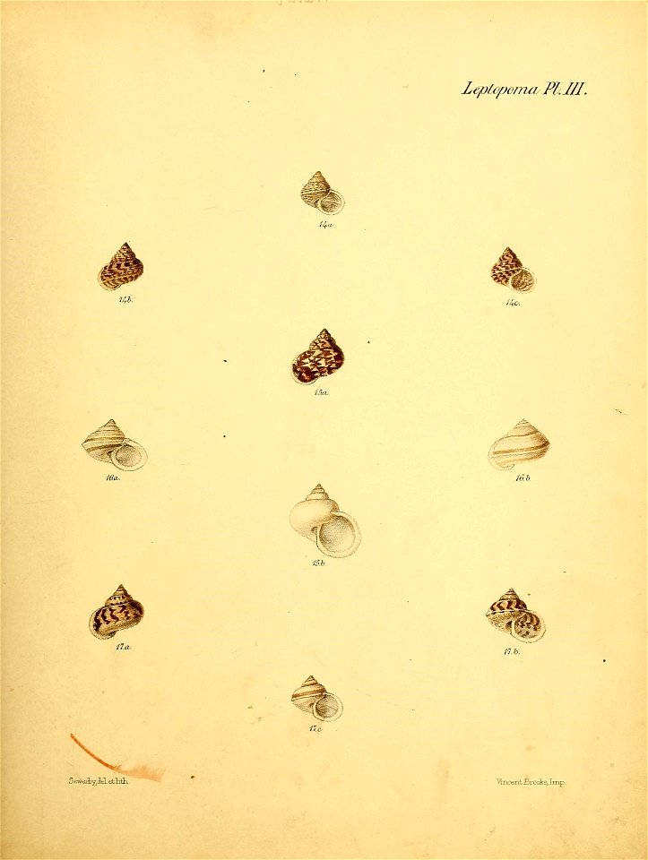 n392_w1150