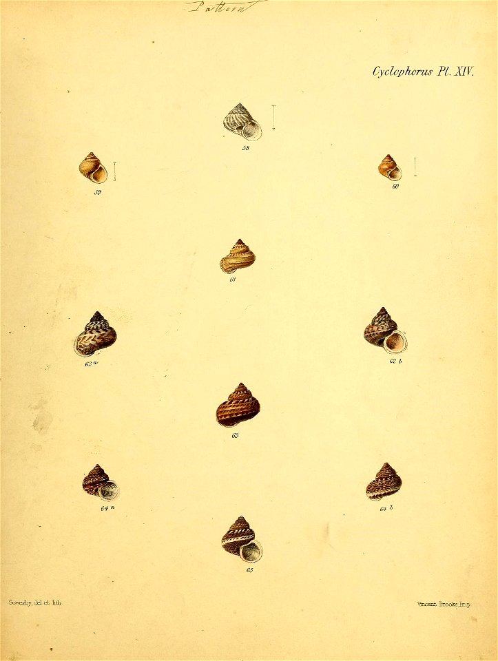 n352_w1150