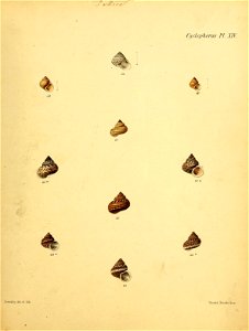 n352_w1150
