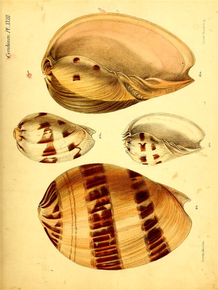 n164_w1150