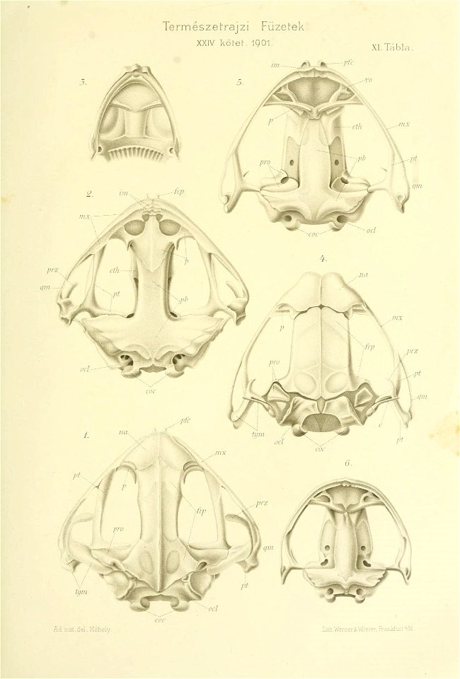 n298_w1150