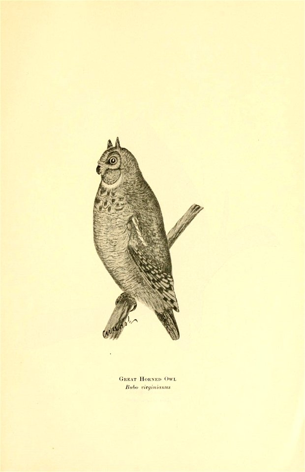 n40_w1150