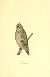 n40_w1150
