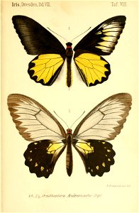 n408_w1150