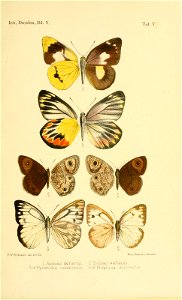 n502_w1150