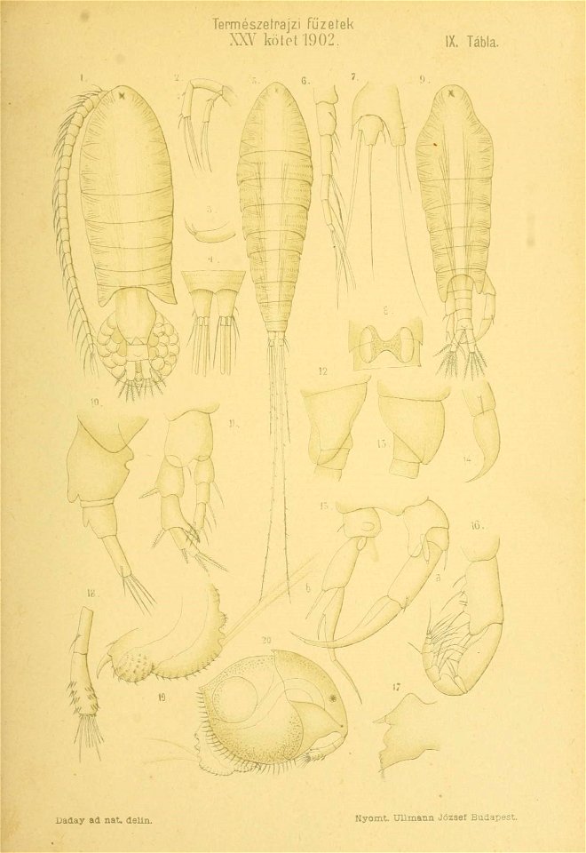 n376_w1150
