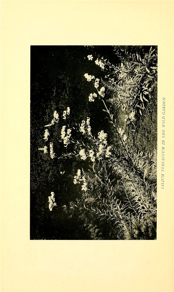 n111_w1150
