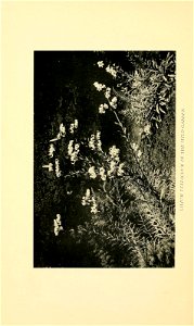 n111_w1150