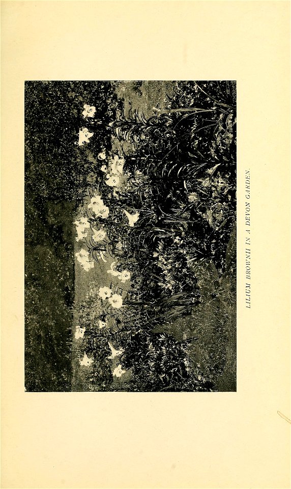 n52_w1150