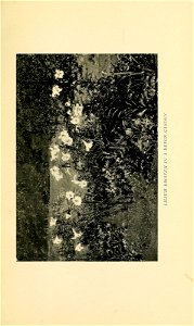 n52_w1150