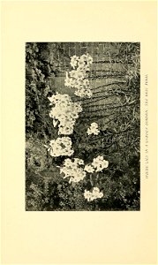 n51_w1150