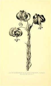 n107_w1150