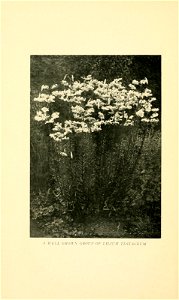 n105_w1150