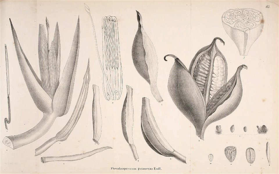 n412_w1150