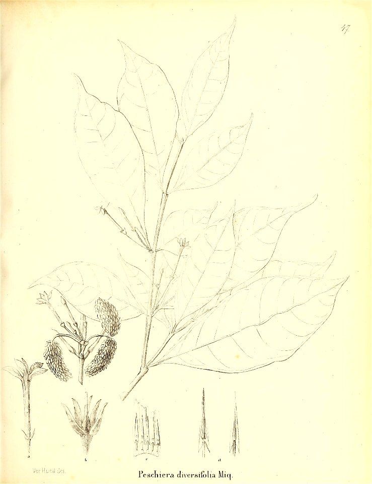 n362_w1150