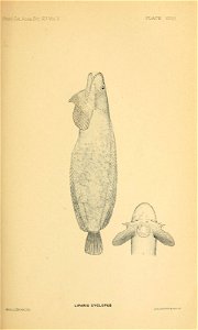 n128_w1150