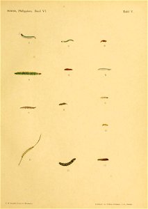 n152_w1150
