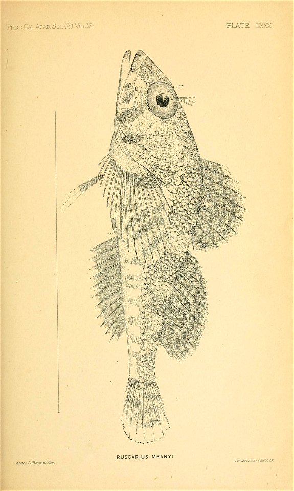 n94_w1150