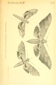 n406_w1150