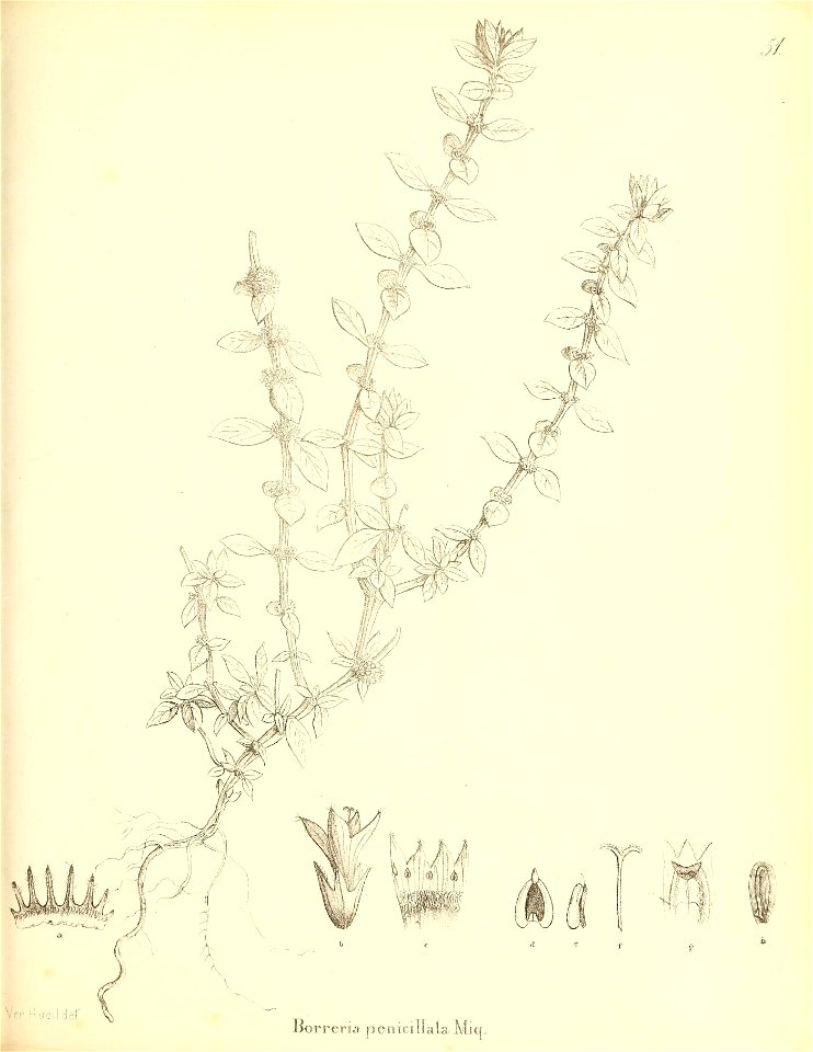 n374_w1150