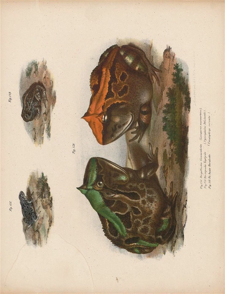 n176_w1150