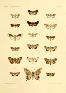 n118_w1150