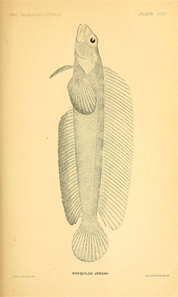 n132_w1150
