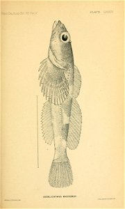 n102_w1150