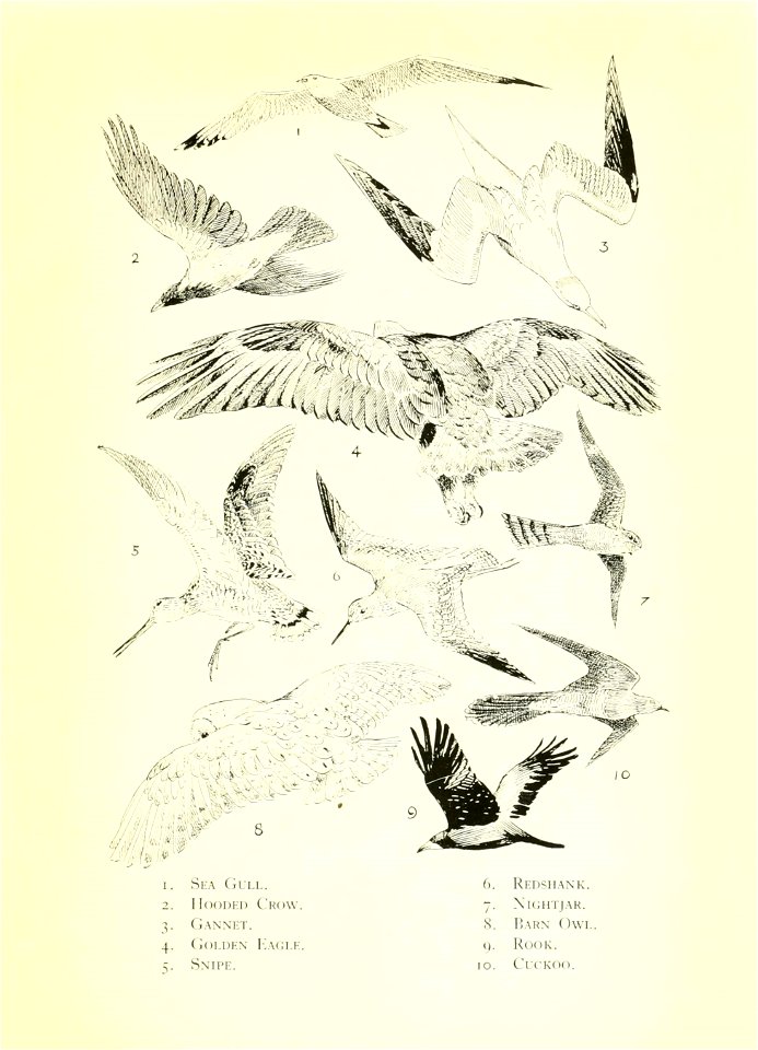 n120_w1150