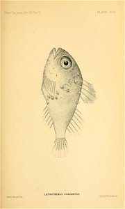 n122_w1150