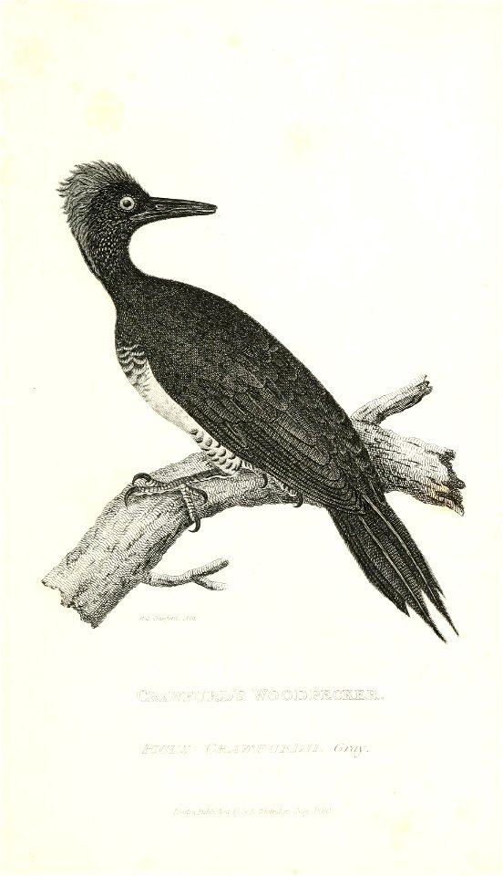 n658_w1150