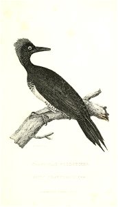 n658_w1150