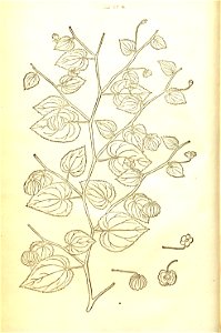 n45_w1150
