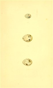 n204_w1150