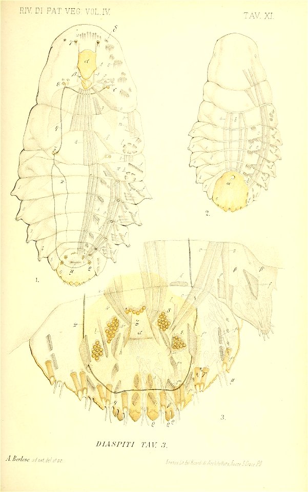 n536_w1150
