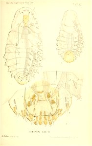 n536_w1150