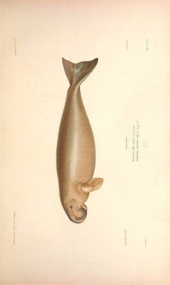 n52_w1150