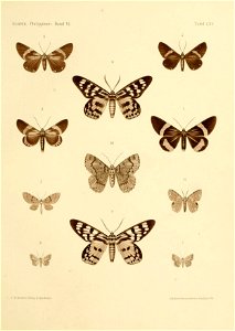 n144_w1150