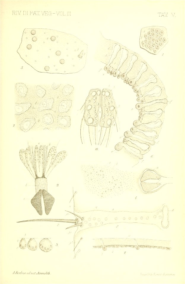 n514_w1150