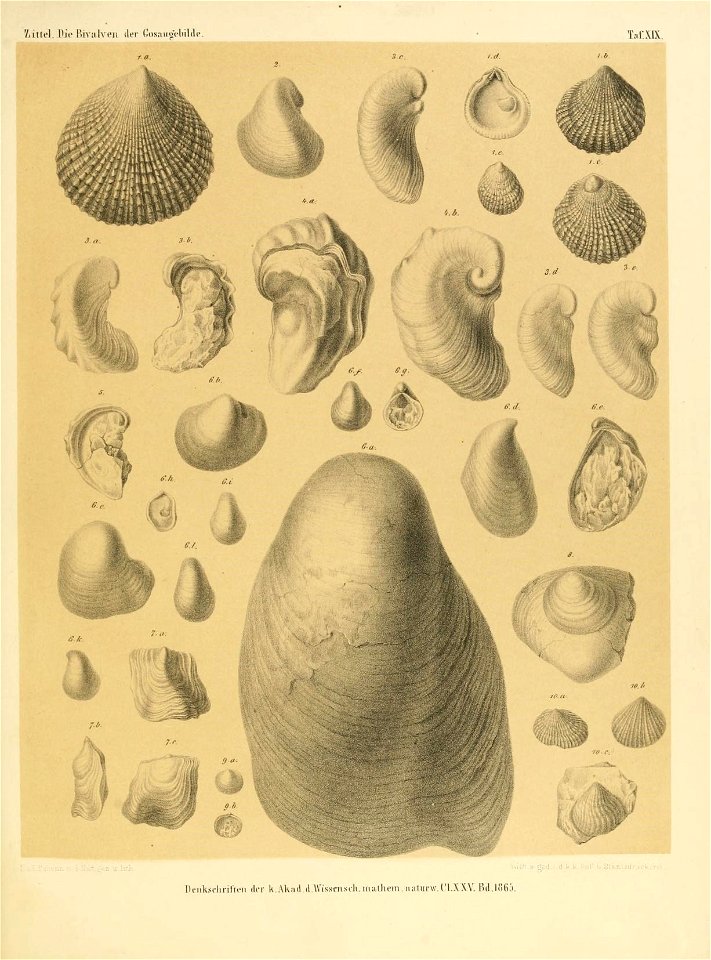 n284_w1150