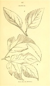 n158_w1150