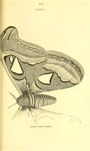 n128_w1150