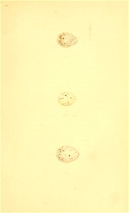 n224_w1150