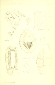 n512_w1150