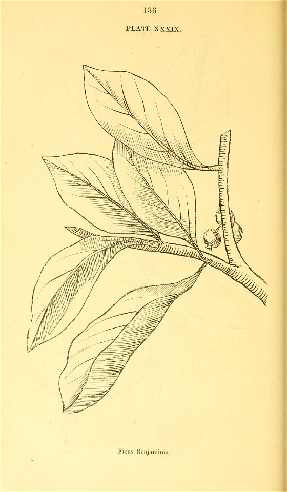 n157_w1150