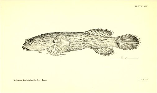 n114_w1150