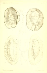 n510_w1150