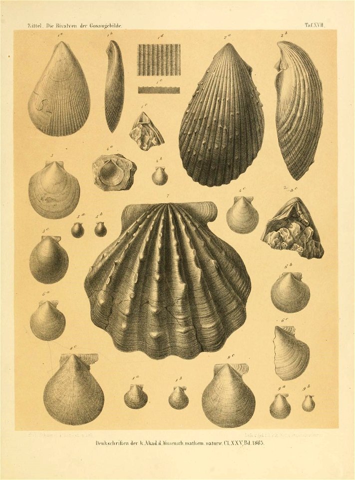 n276_w1150
