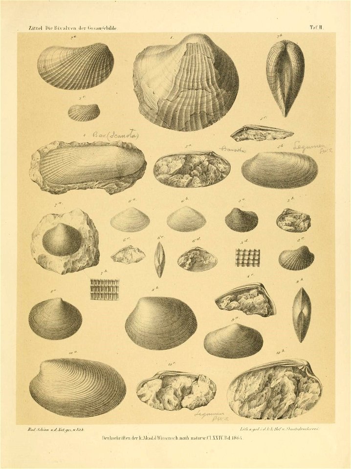 n216_w1150