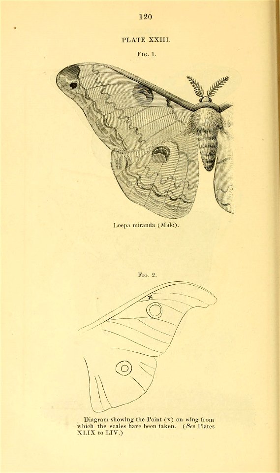 n141_w1150